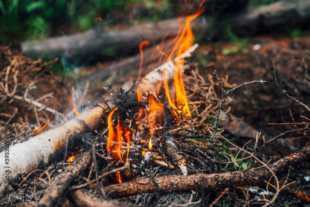 Burning branches and brushwood in fire close-up. Atmospheric warm background with orange flame of campfire and blue smoke. Beautiful full frame image of bonfire. Firewood burns in vivid flames. Burning branches and brushwood in fire close-up. Atmospheric warm background with orange flame of campfire and blue smoke. Beautiful full frame image of bonfire. Firewood burns in vivid flames.
