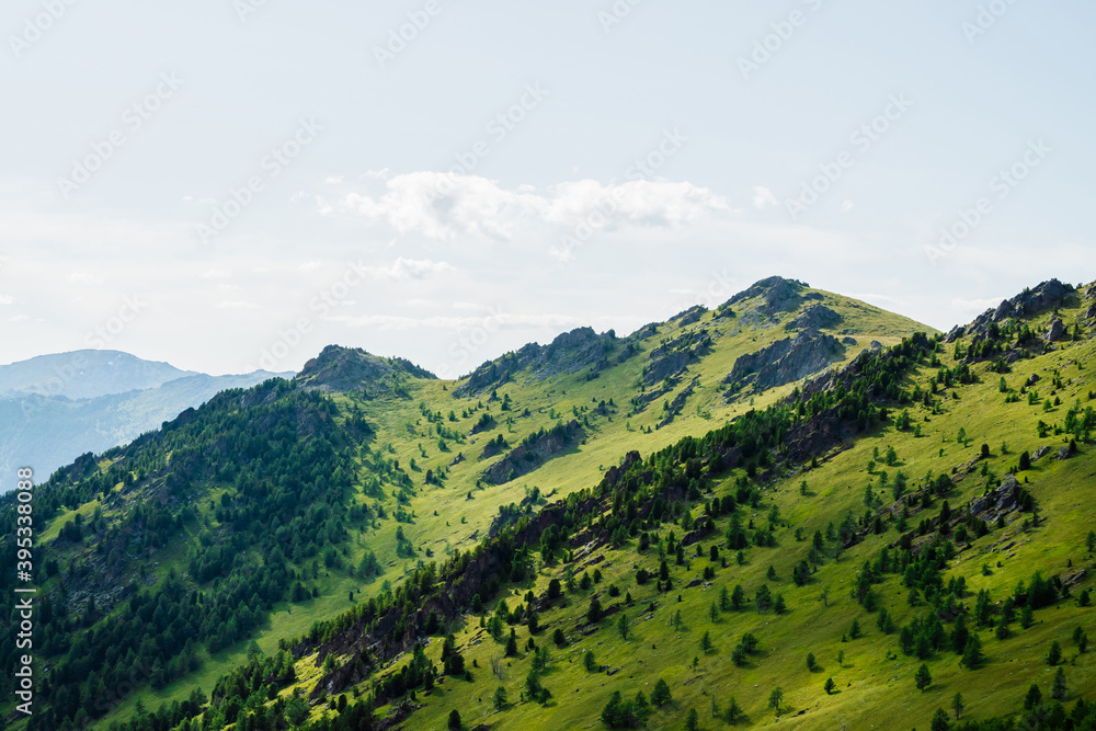 Obraz premium Scenic alpine landscape with green mountainside with conifer forest and big crags. Vivid green mountain scenery with coniferous trees and big rocks on hillside. Big stones and trees on steep slopes.