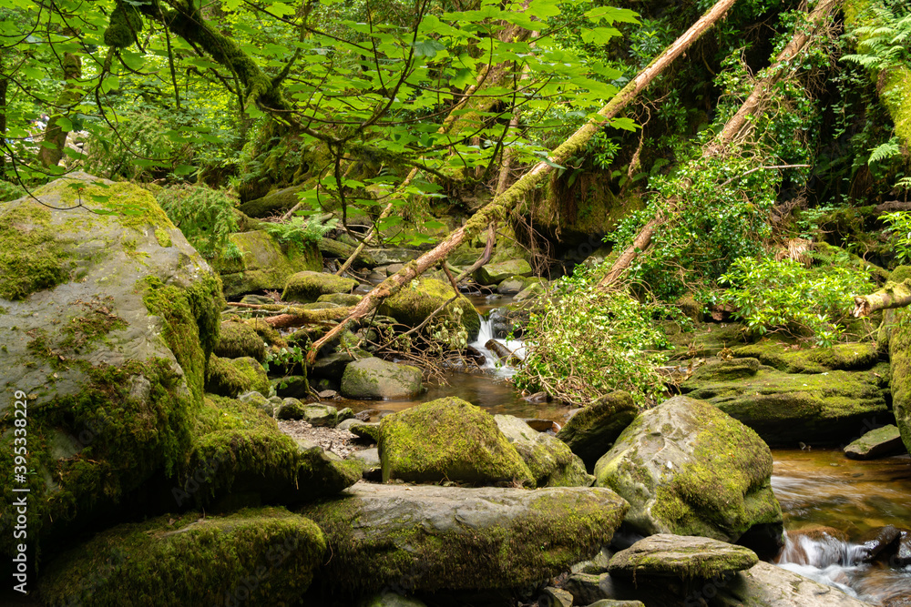 Long exposure on river flowing through rocks and spring green forest. Long exposure on river flowing through rocks and spring green forest.