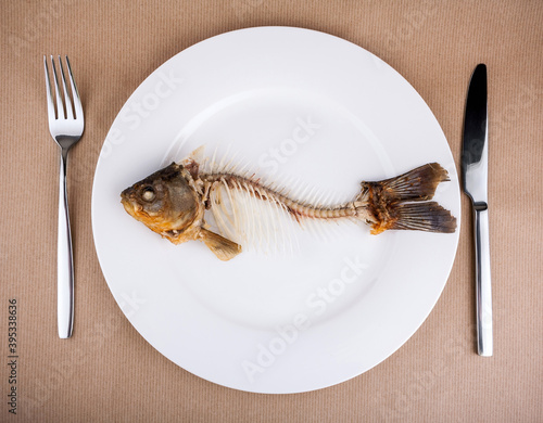 Photography Complete bone of whole fish on plate, abstract
