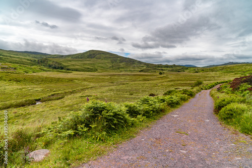 Gravel road between field and forest, panoramic viev in irish mountains