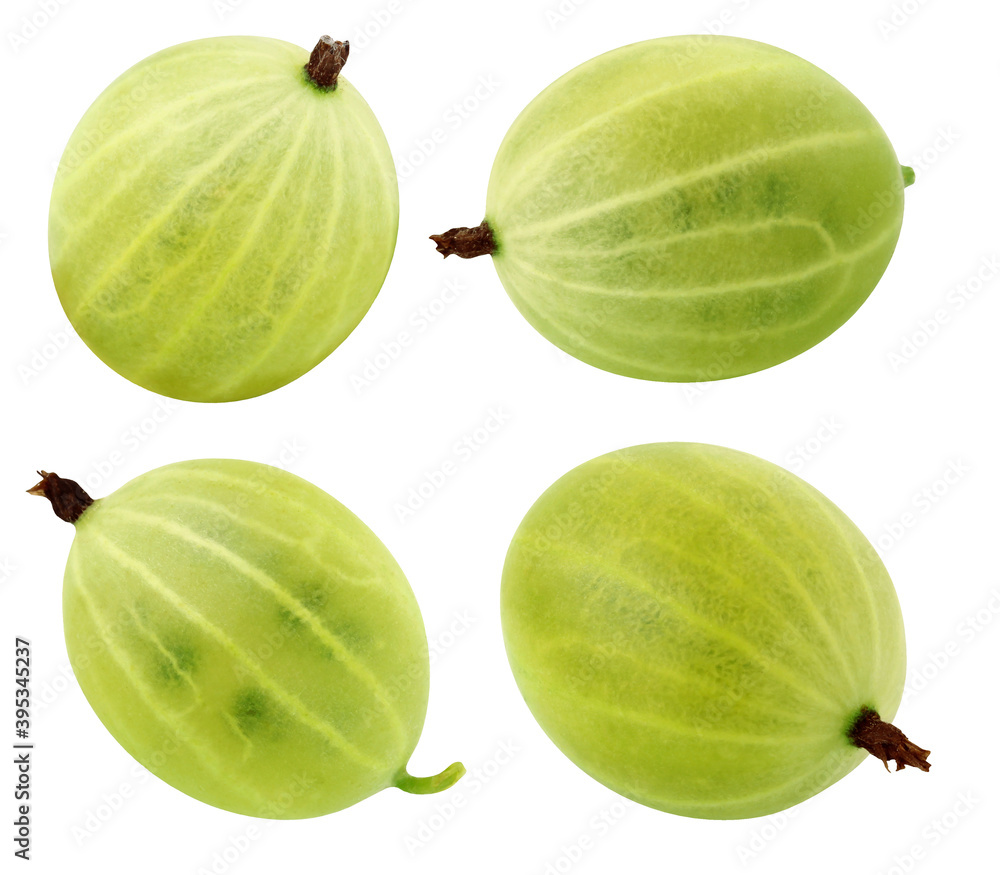 isolated green gooseberry on a white background. isolated green gooseberry on a white background.