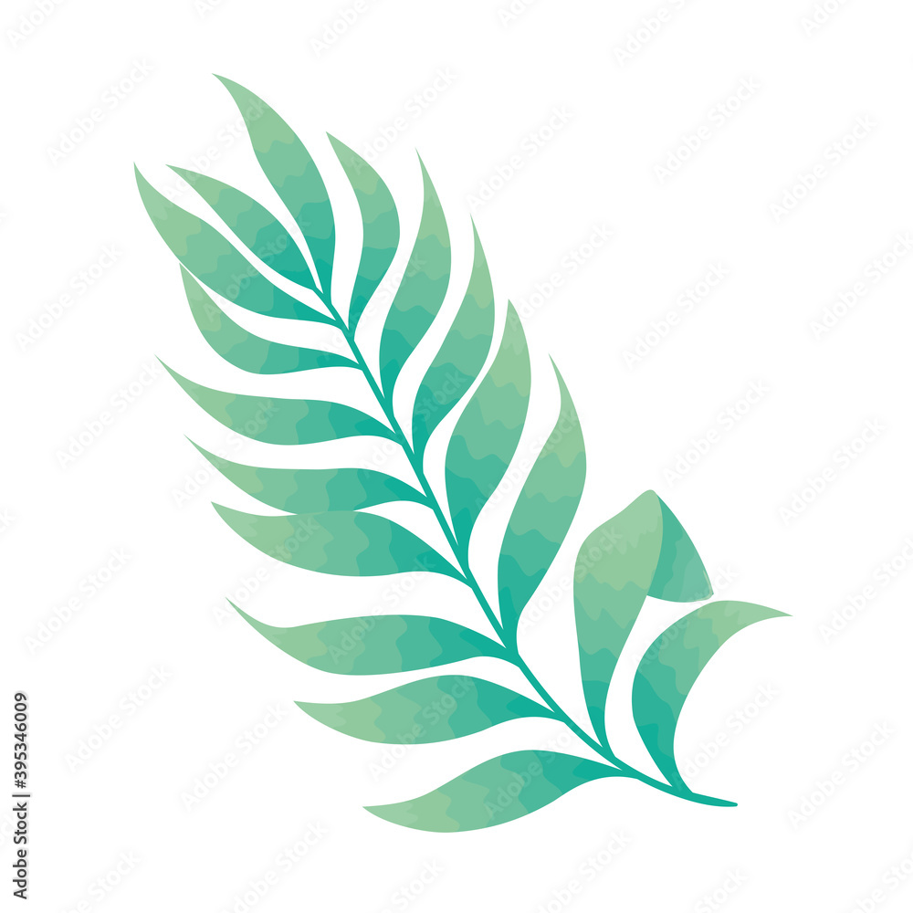 leaf palm nature isolated icon vector illustration design