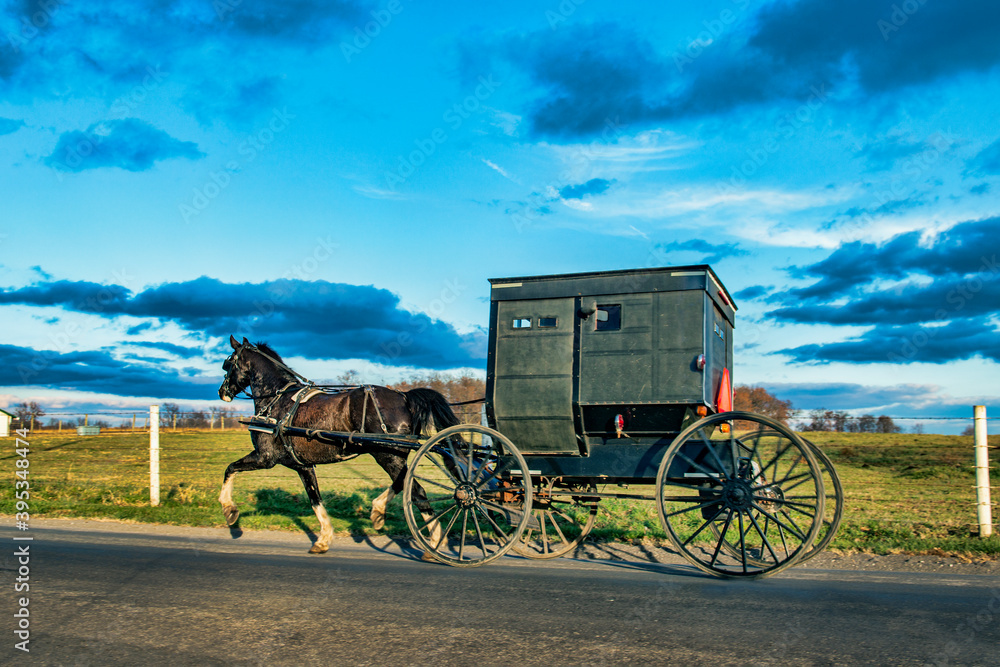 Amish Buggy on rural Indiana Road