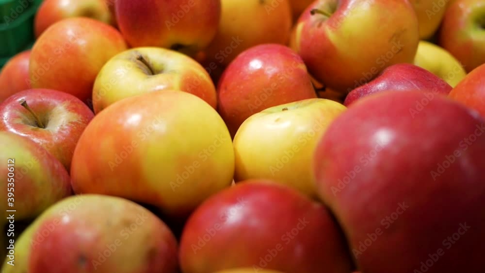 Ripe apples are in the basket. Slow motion Ripe apples are in the basket. Slow motion