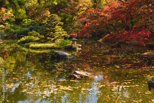 Fototapeta Naklejka Na Ścianę i Meble -  Fall in the Japanese Gardens