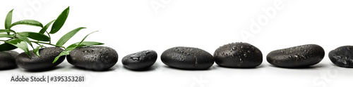 Canvas Print black wet spa massage stones isolated on white background with green plant