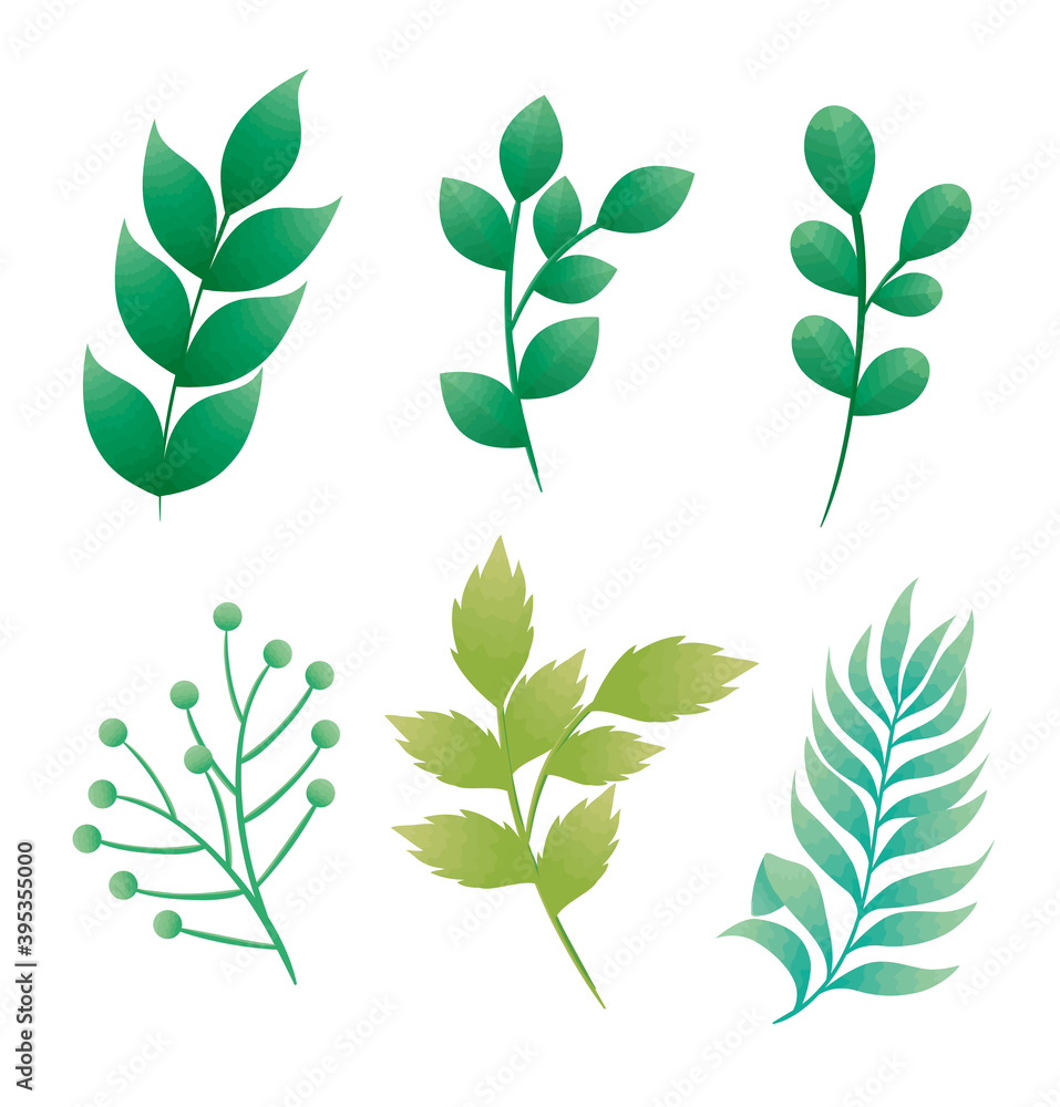 Fototapeta premium bundle of branches with leafs icons vector illustration design