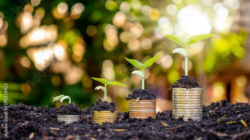 A pile of coins with green plants depends on the concept of business and financial success or money growth.