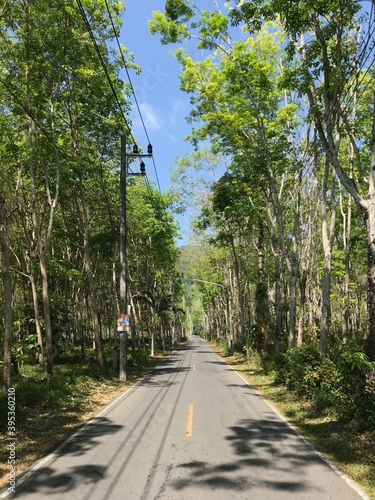Rural Thai road through the forest in Phuket