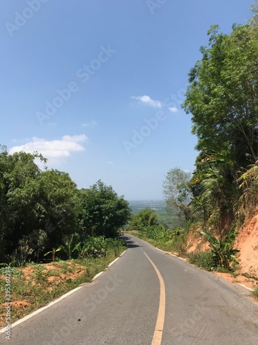 Road through the jungle, Phuket, Thailand