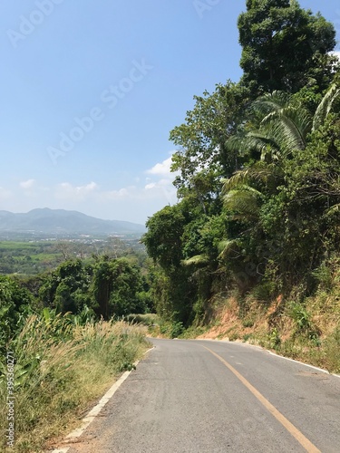 Road through the jungle in Phuket, Thailand