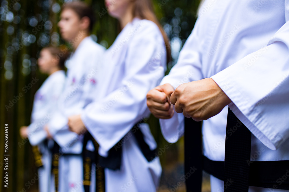 people high kicks during training of taekwondo outdoors bamboo background people high kicks during training of taekwondo outdoors bamboo background