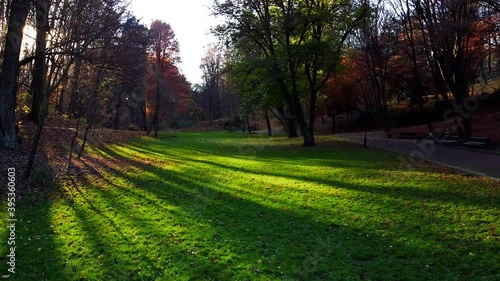 Wallpaper Mural Green lawn in the autumn park. Torontodigital.ca