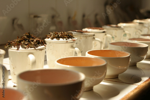Nuwara Eliya Sri Lanka tea plantation tea tasting room with cups of different t