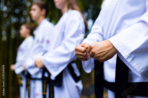 people high kicks during training of taekwondo outdoors bamboo background