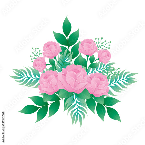 pink color roses flowers and leafs decorative icon vector illustration design