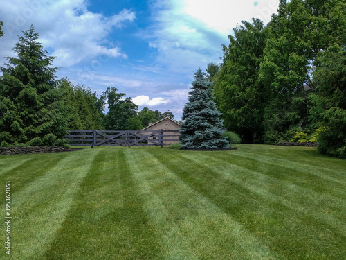 Freshly Mown Lawn