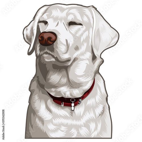 Illustration graphic vector of pet, dog vector illustration.