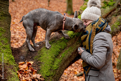 Cute french bulldog kissing it‘s owner in the forest during dog training
