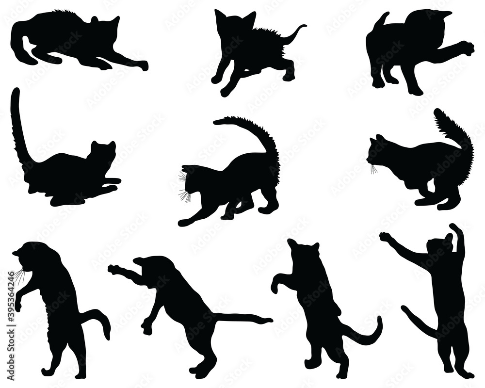Black silhouettes cats on a white background