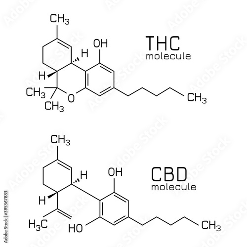 THC vs CBD molecule formulas