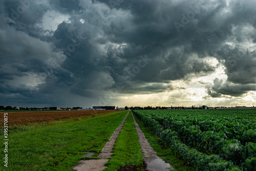 Country road below an angry sky as storm clouds gather over the dutch landscape