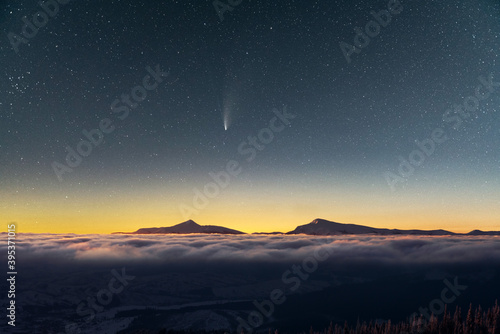 Fantastic winter landscape glowing by star light. Dramatic wintry scene with snowy trees and comet in night sky. Carpathians, Europe