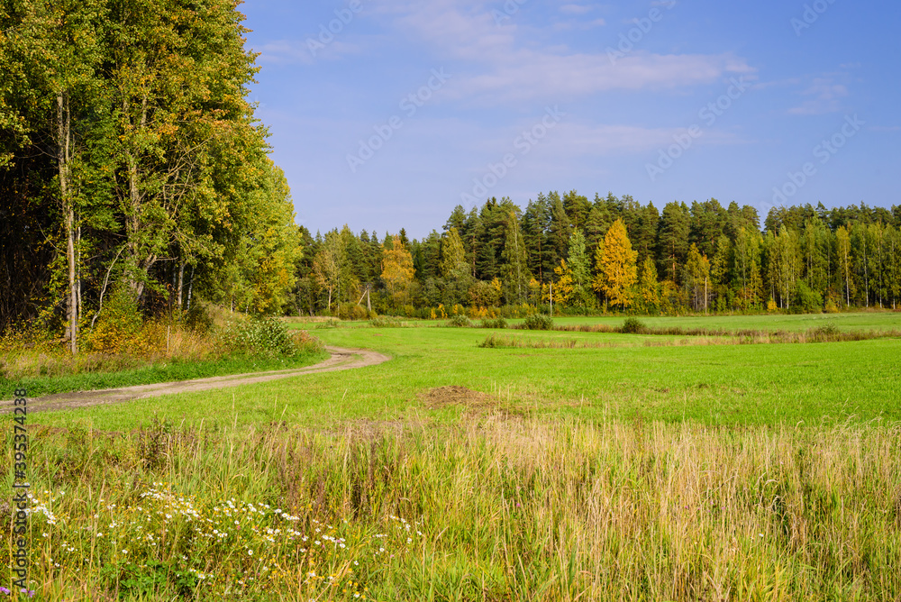 rural Russia. Beautiful autumn landscape. Picturesque green meadow with forest, Leningrad region, Russia
