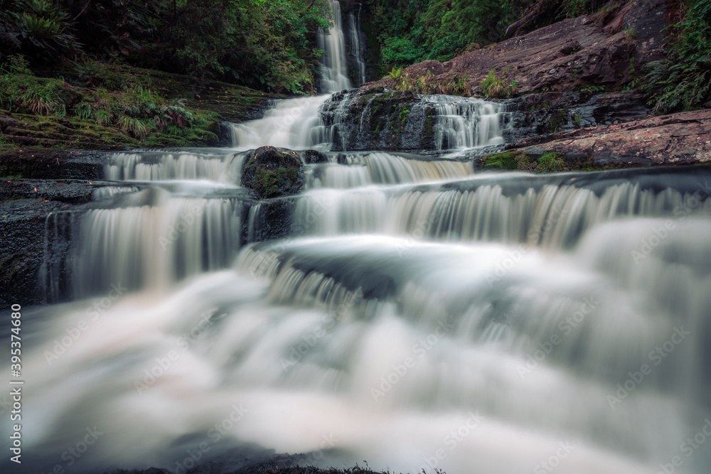 Fototapeta premium beautiful waterfall in forest, New Zealand 