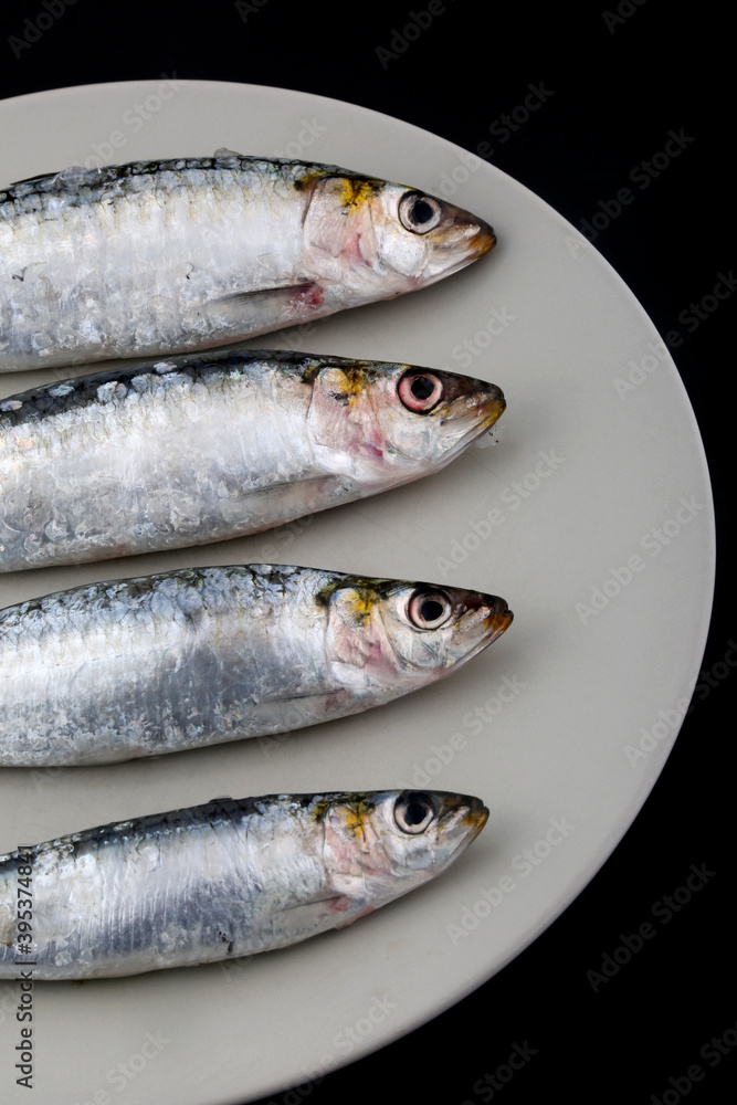 fresh and raw sardines as seafood fresh and raw sardines as seafood