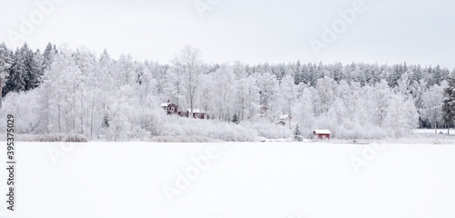 Wintry landscape with snow and frost