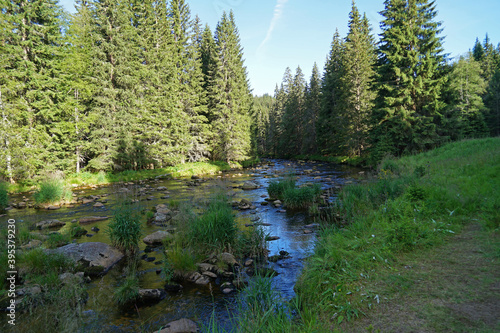 Deep forest with meandering river in Sumava National Park, Czech Republic