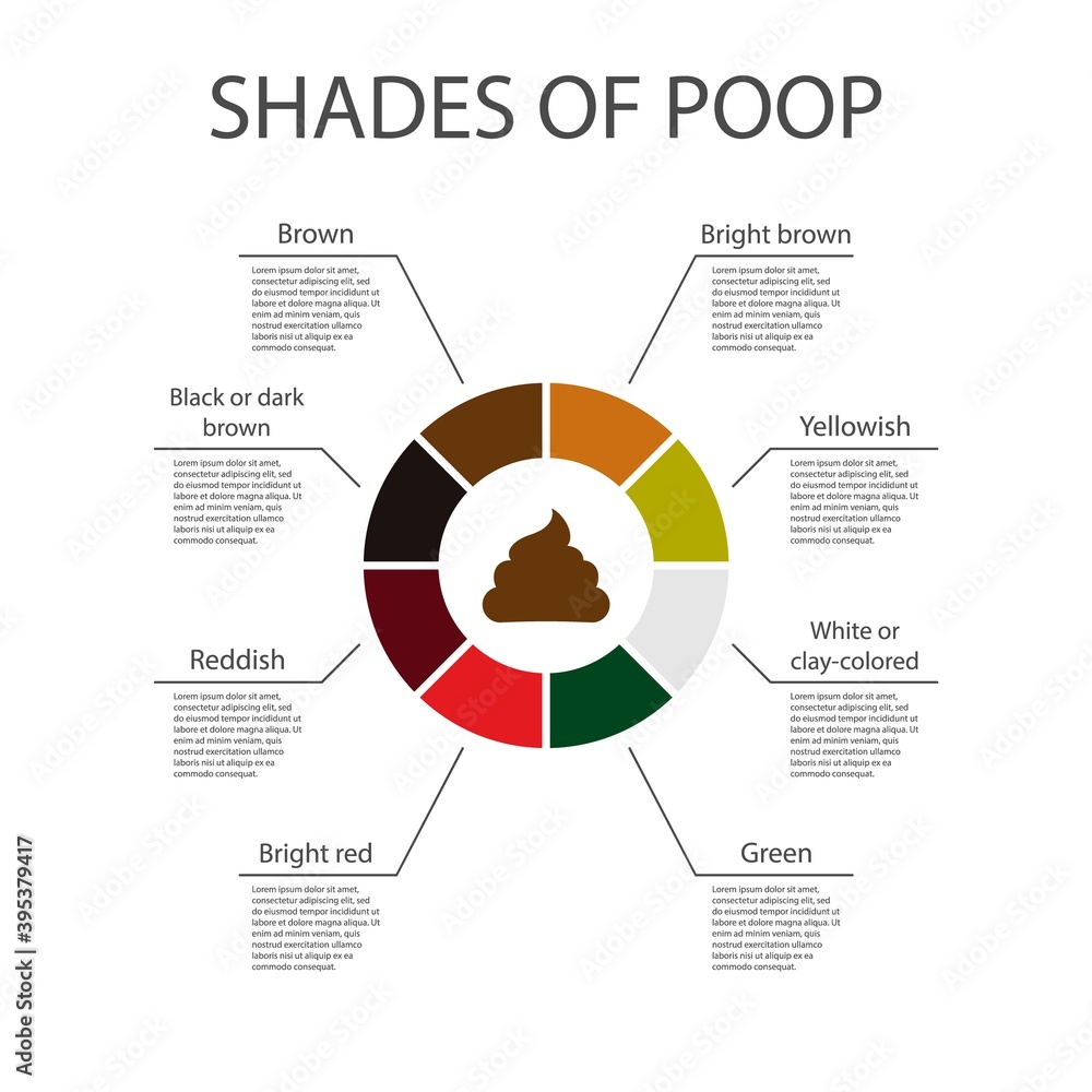 Shades of color poop chart. Poop icon. Human feces color. Healthy ...