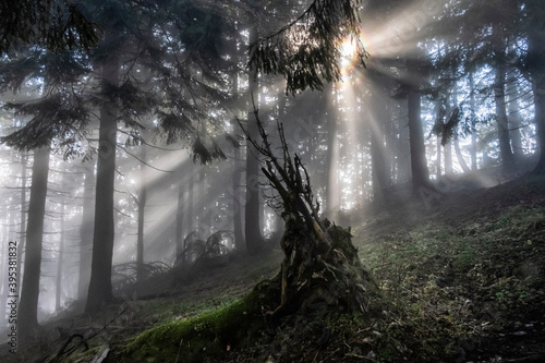 Sunrays scene  Hnilicka Kycera  Little Fatra  Slovakia