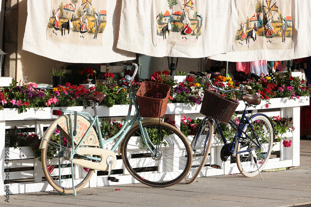 Bicycle with baskets on background of plants