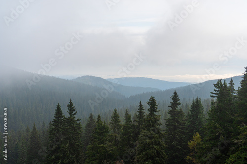 Forested mountain slope in low lying cloud with the evergreen conifers shrouded in mist in a scenic landscape view, jeseniky czech © Martin