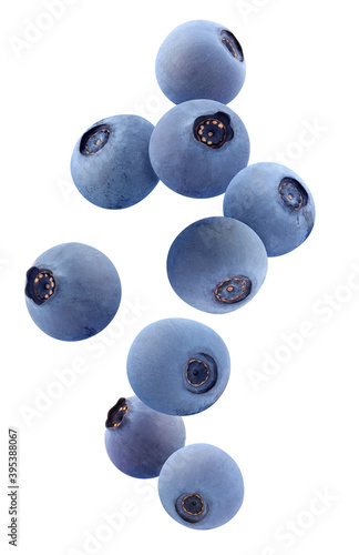 falling blueberries isolated on a white background.