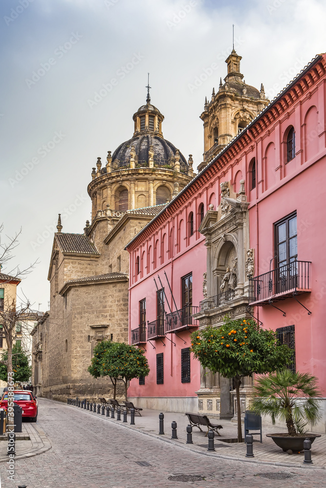 Fototapeta premium Royal College of Saint Bartholomew, Granada