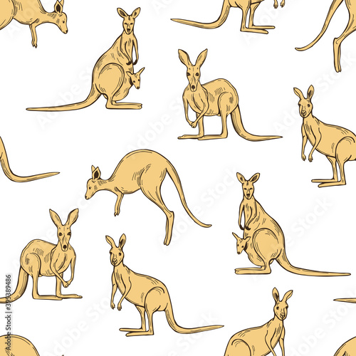 Kangaroo. Vector  pattern.