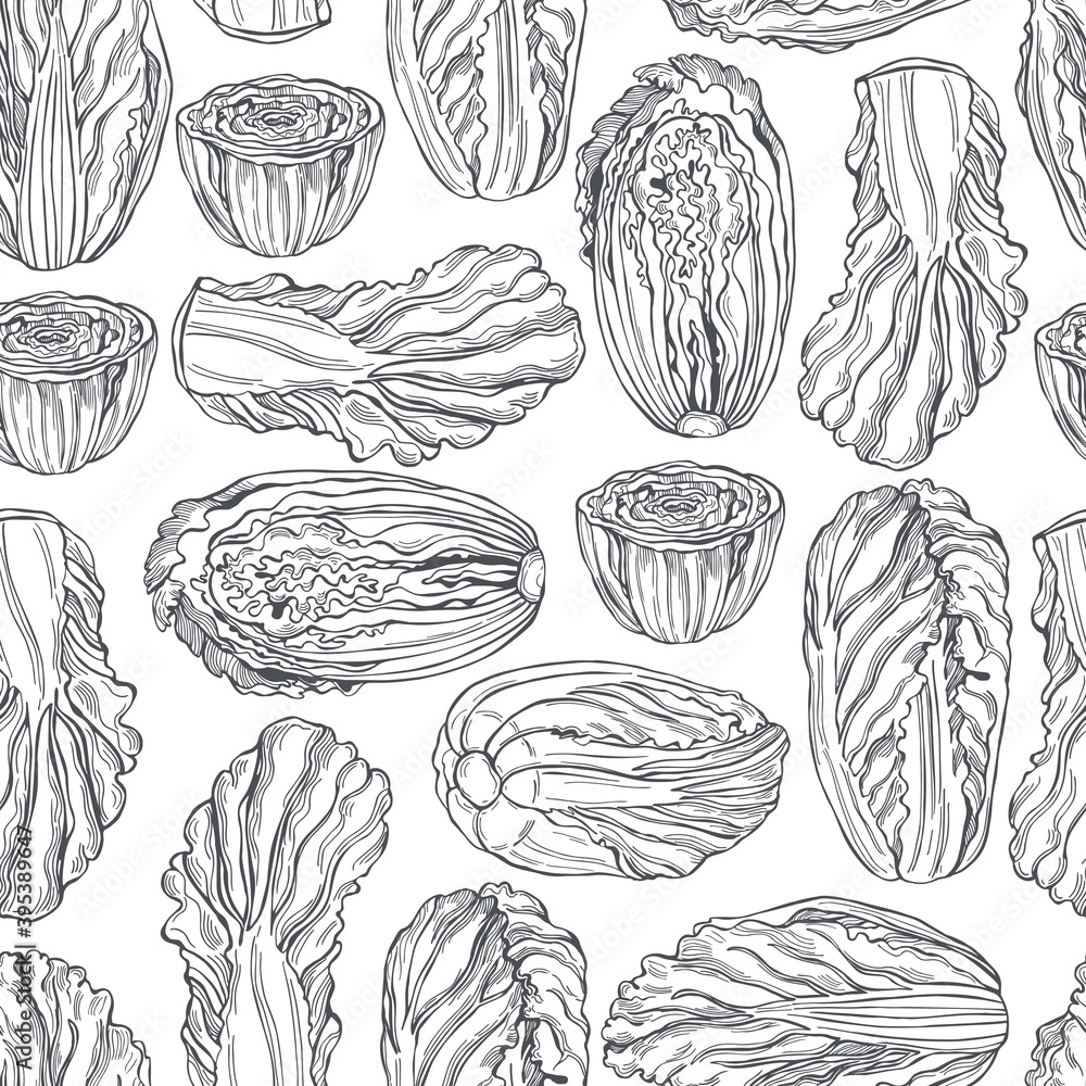 Chinese cabbage. Vector pattern. Chinese cabbage. Vector pattern.