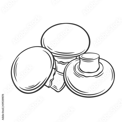 Champignon mushroom outline monochrome illustration