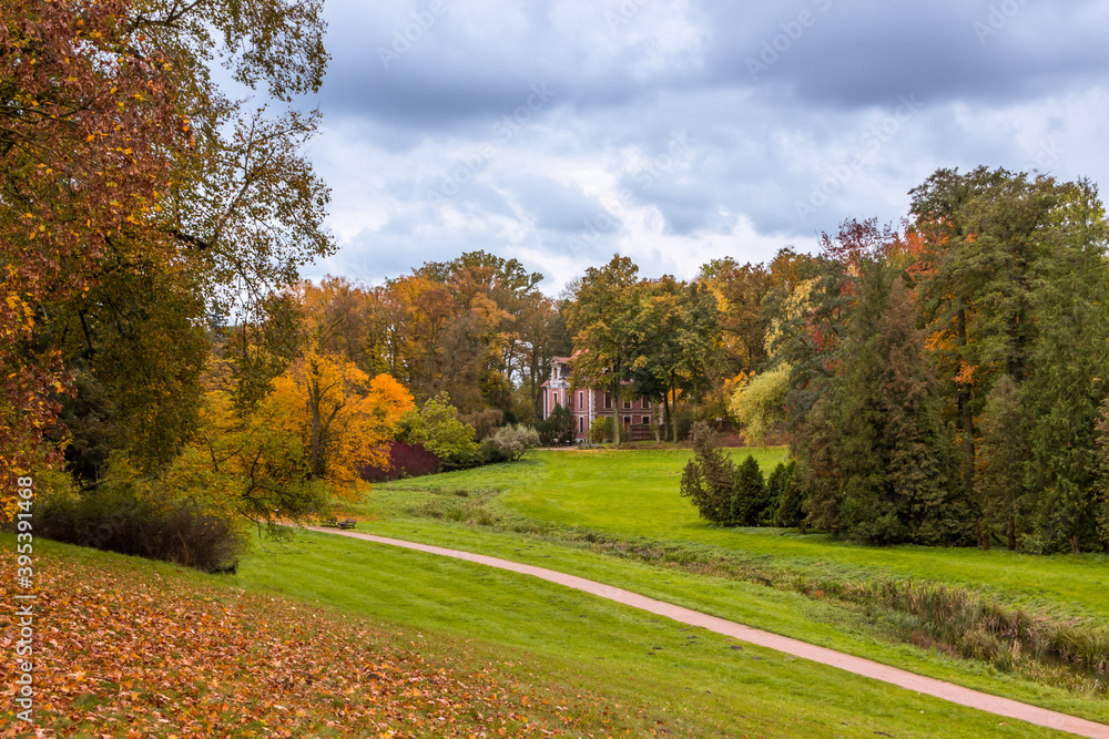 Autumn trees alley with colorful leaves in the park Autumn trees alley with colorful leaves in the park