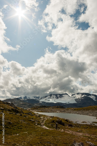 beautiful landscape, flowers and sheep at Jotunheimen National Park, Norway Scandinavia photo