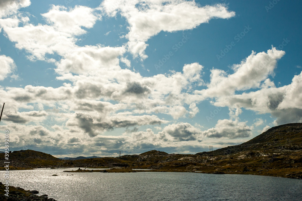 beautiful landscape, flowers and sheep at Jotunheimen National Park, Norway Scandinavia beautiful landscape, flowers and sheep at Jotunheimen National Park, Norway Scandinavia