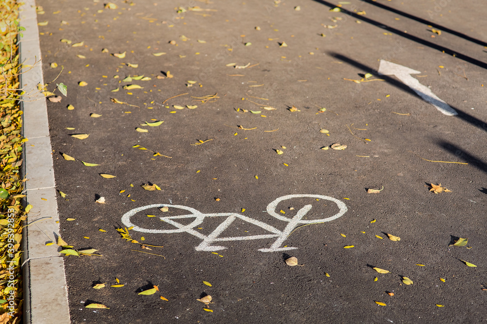Fototapeta premium drawn symbol bicycle on an asphalt bicycle path with markings strewn with yellow leaves on a sunny autumn day, close-up of a road sign on the ground, nobody.