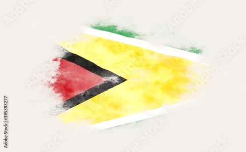 Painted national flag of Guyana.