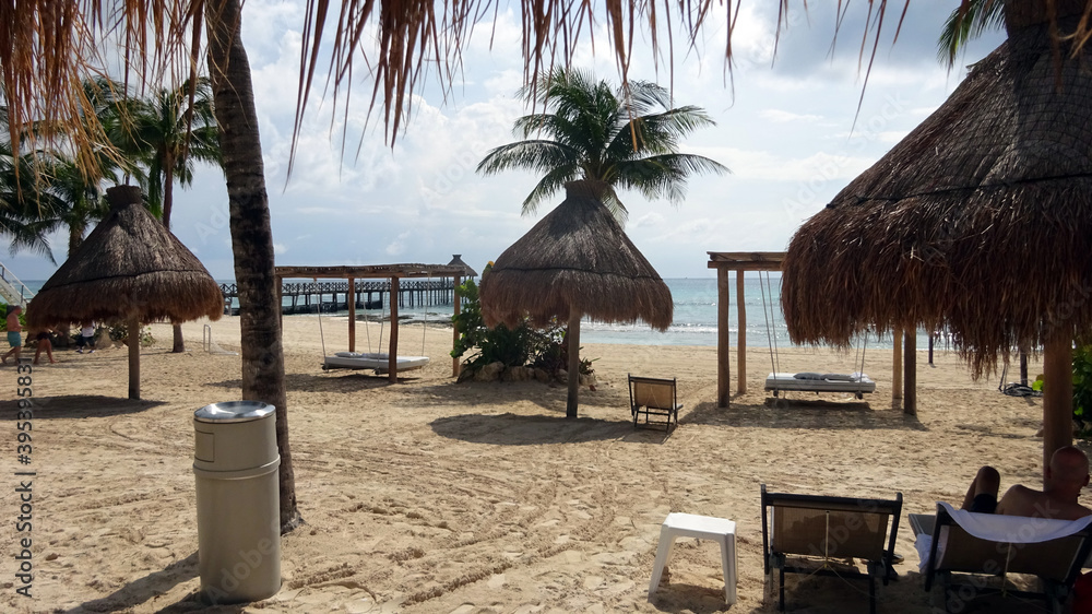 Fototapeta premium Praia e Palmeiras