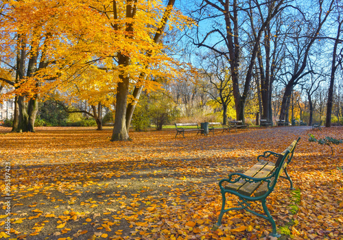 Colorful and vivid autumn colors and bright blue sky in the park, in Graz, Styria region, Austria.