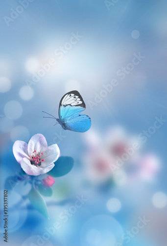 Blossom tree over nature background with butterfly. Spring flowers. Spring Background. © Belight